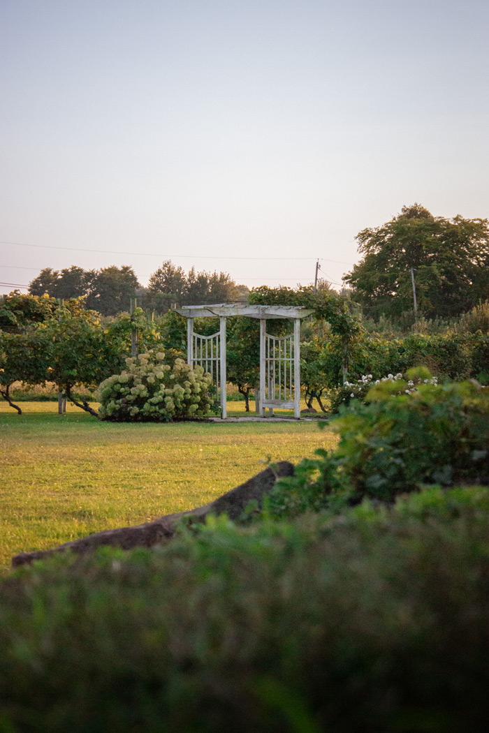Scenery, in front of the Young Sommer Winery building